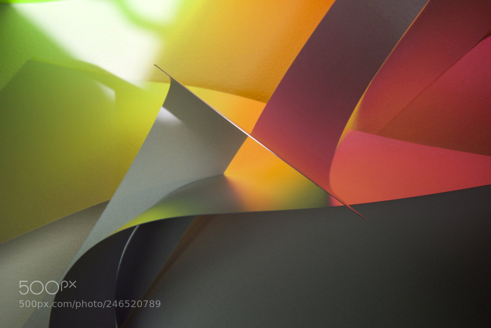 Nikon D810 sample photo. Colors galore photography