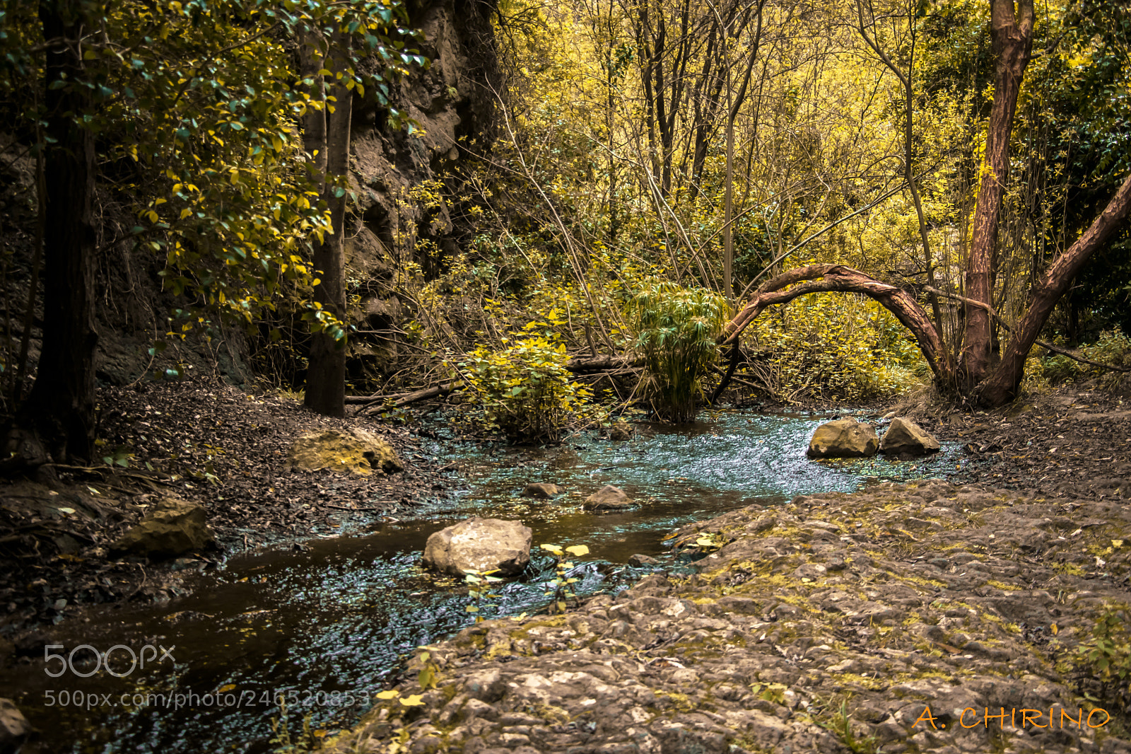 Nikon D3400 sample photo. Riachuelo de azuaje photography