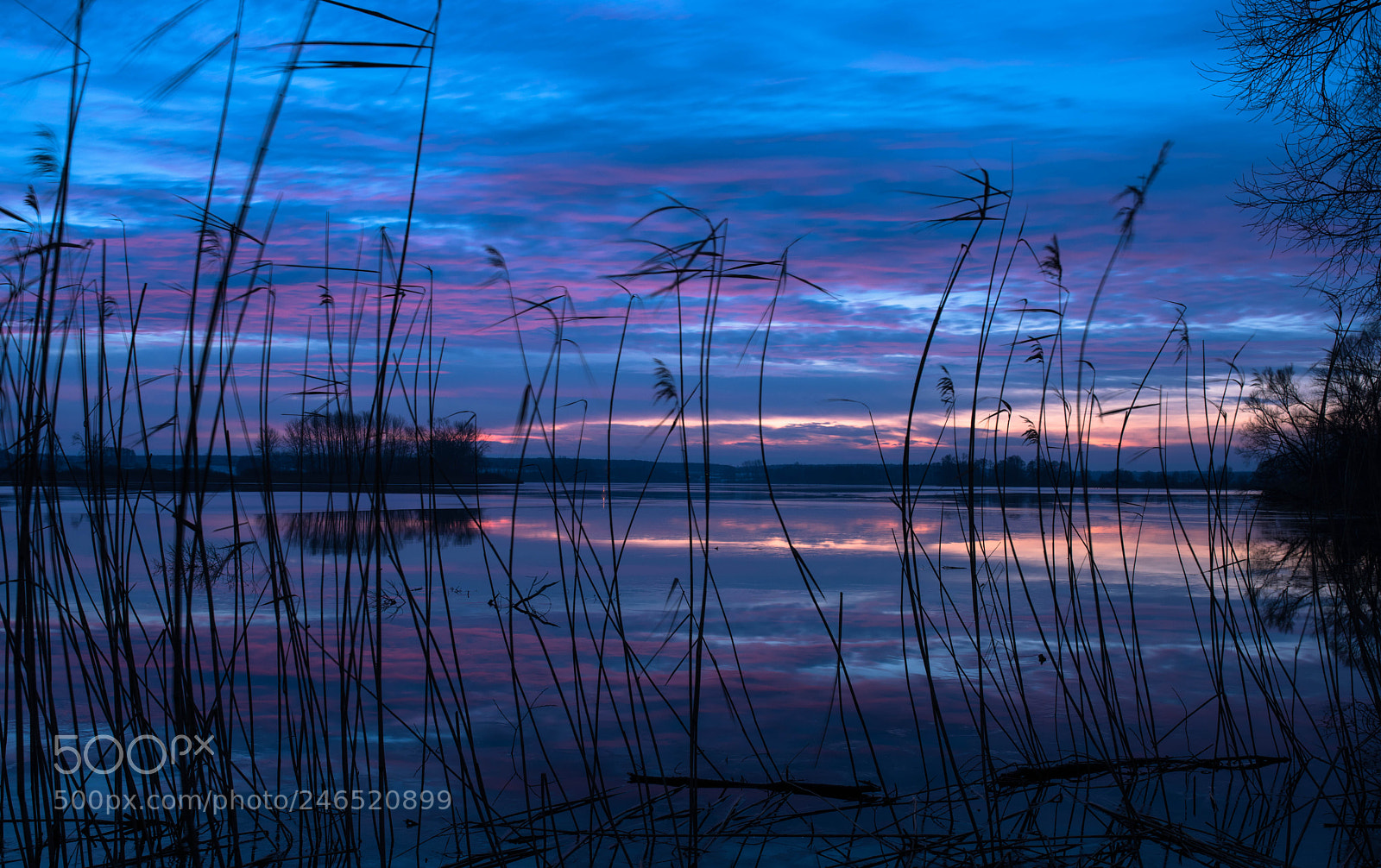 Nikon D810 sample photo. Lake gasawa photography