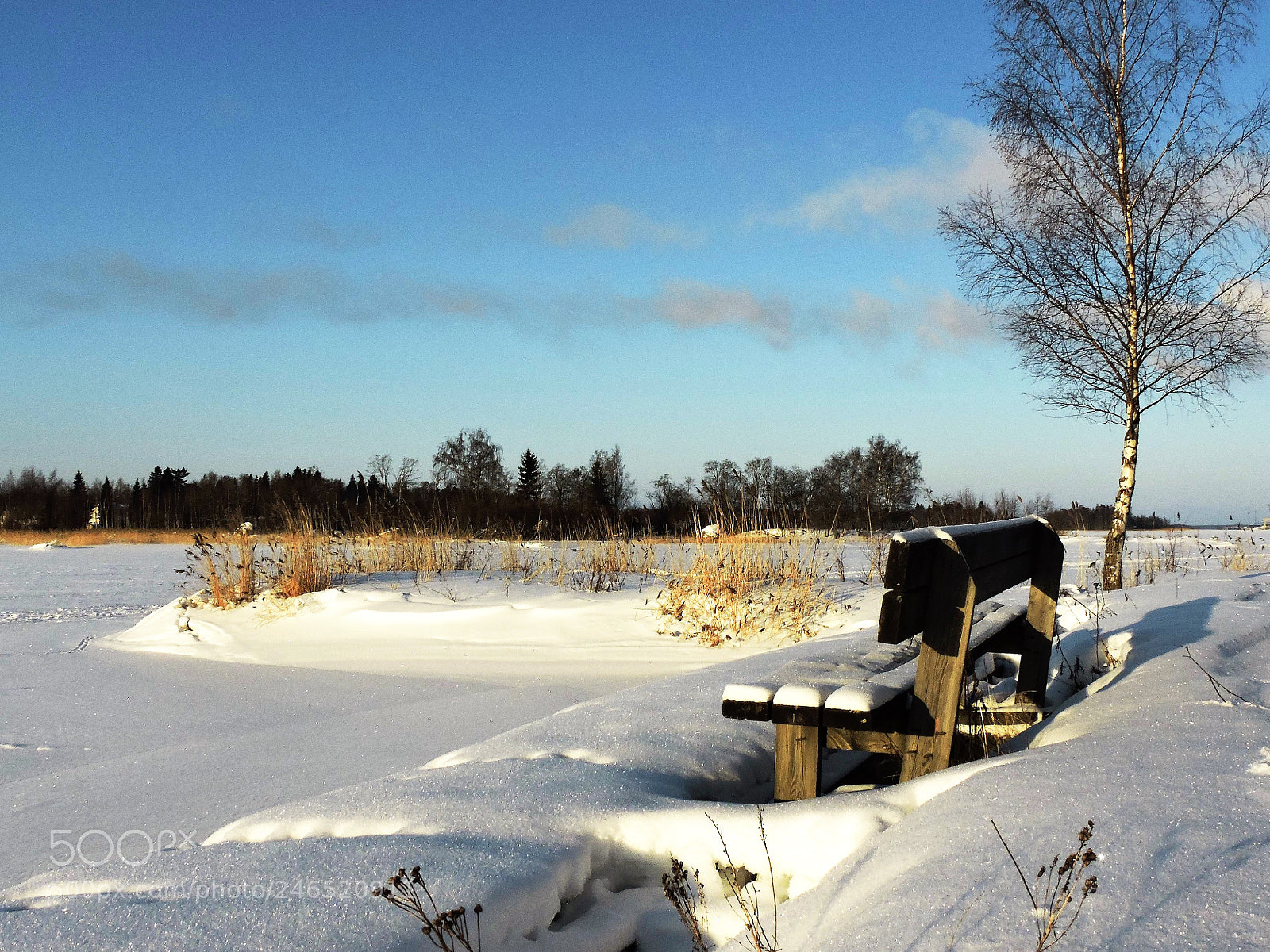Nikon Coolpix P600 sample photo. The bench photography