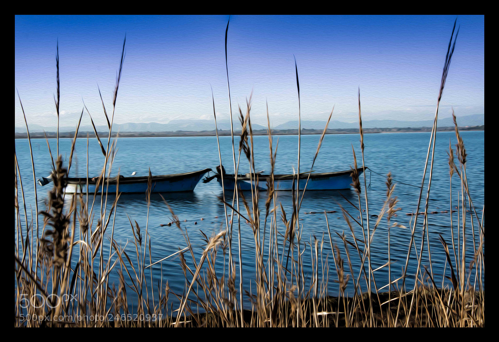 Nikon D7200 sample photo. Barcas photography