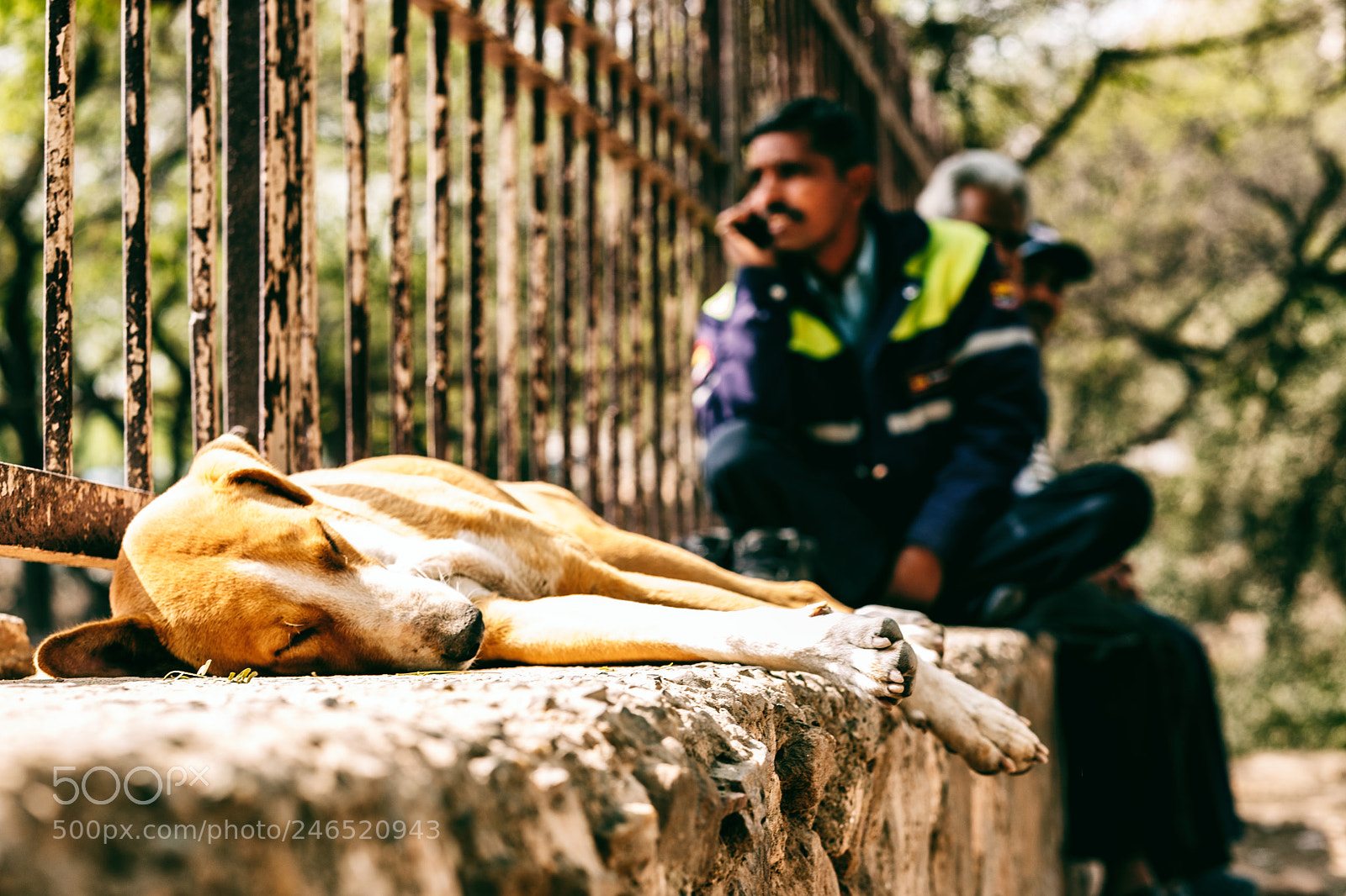 Fujifilm X-T2 sample photo. Sleep in sunshine photography