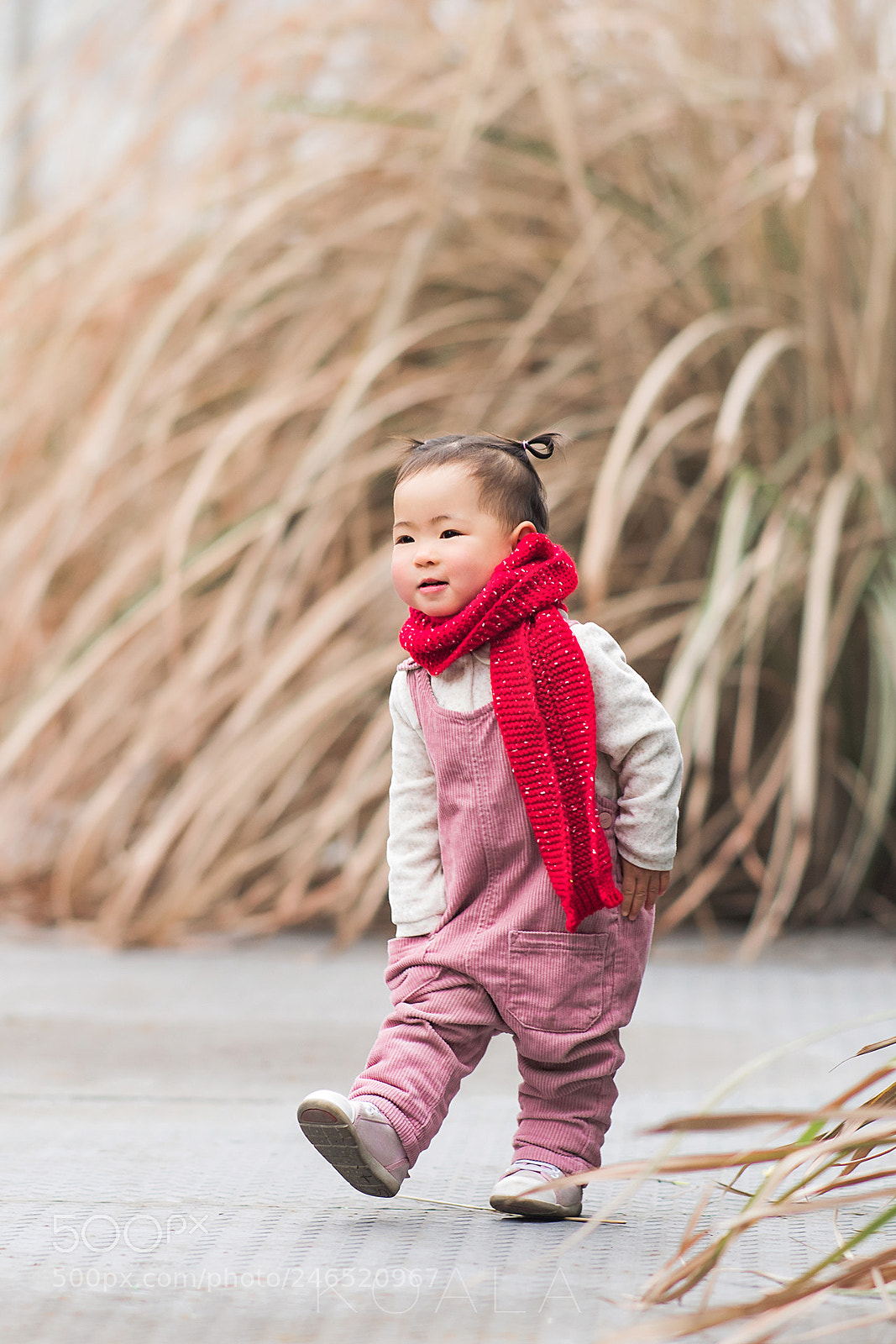 Nikon D810 sample photo. 廢舊車站 photography