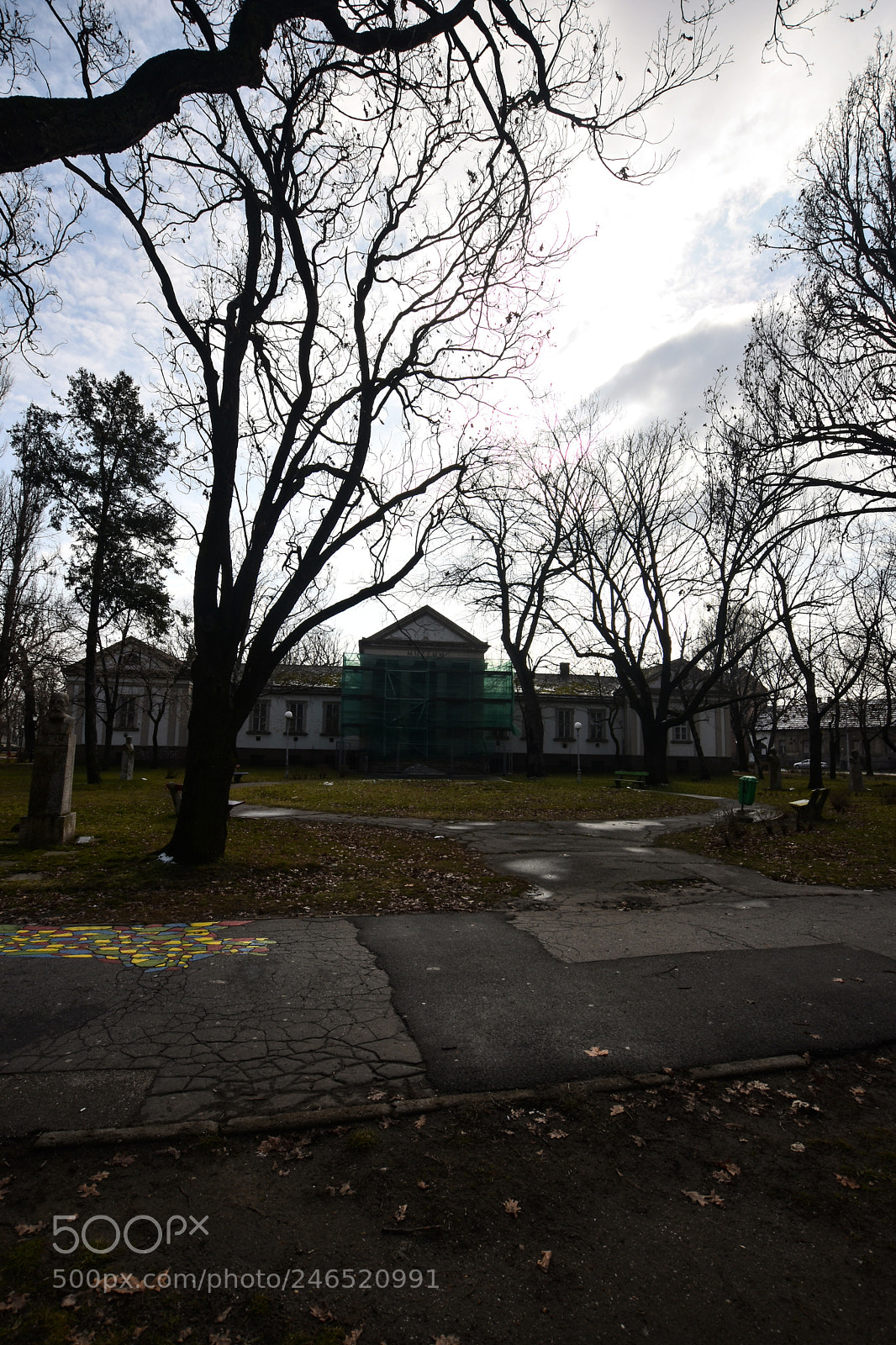 Nikon D7200 sample photo. Untitled photography