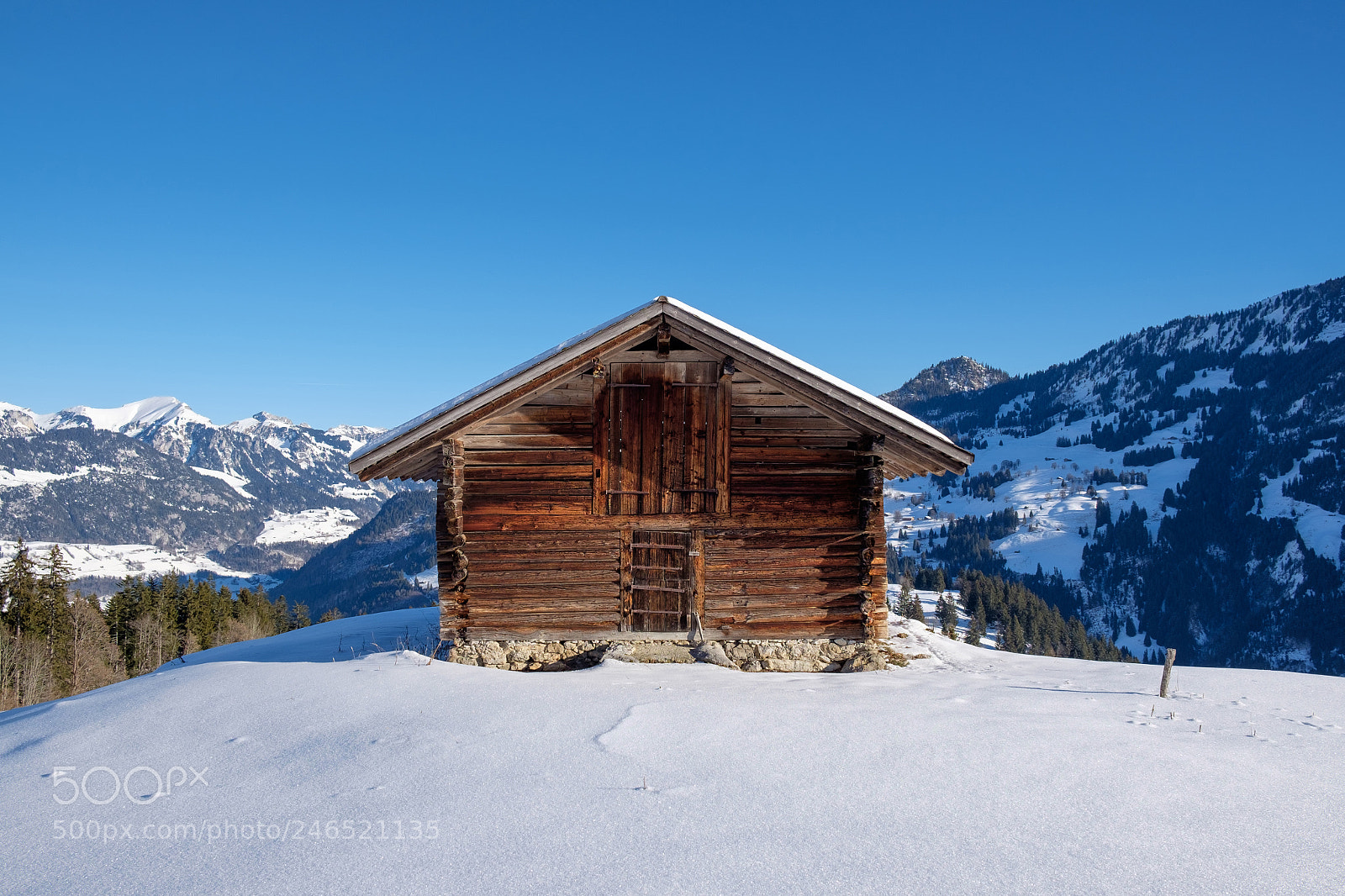 Fujifilm X-T1 sample photo. 02167: schürli photography