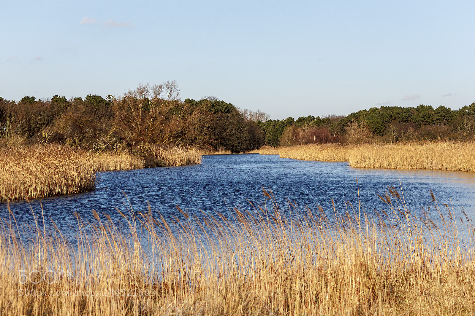 Canon EOS 550D (EOS Rebel T2i / EOS Kiss X4) sample photo. Waterleidingduinen photography