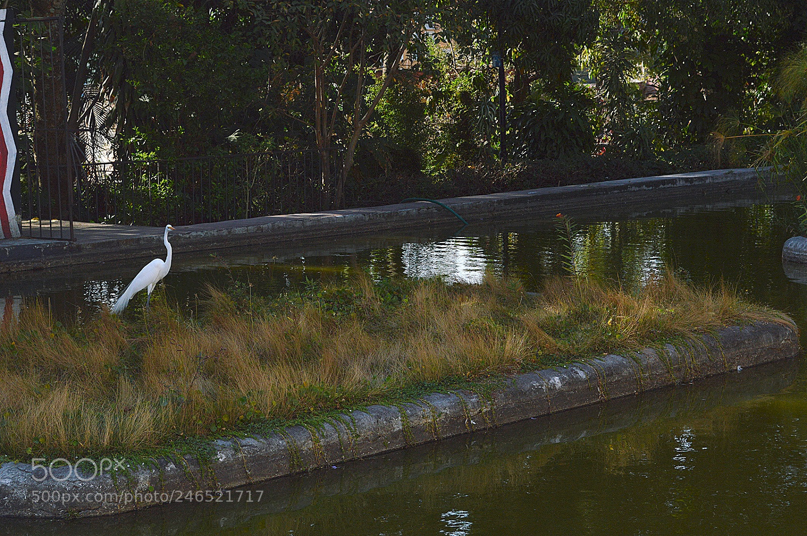 Nikon D3200 sample photo. Untitled photography