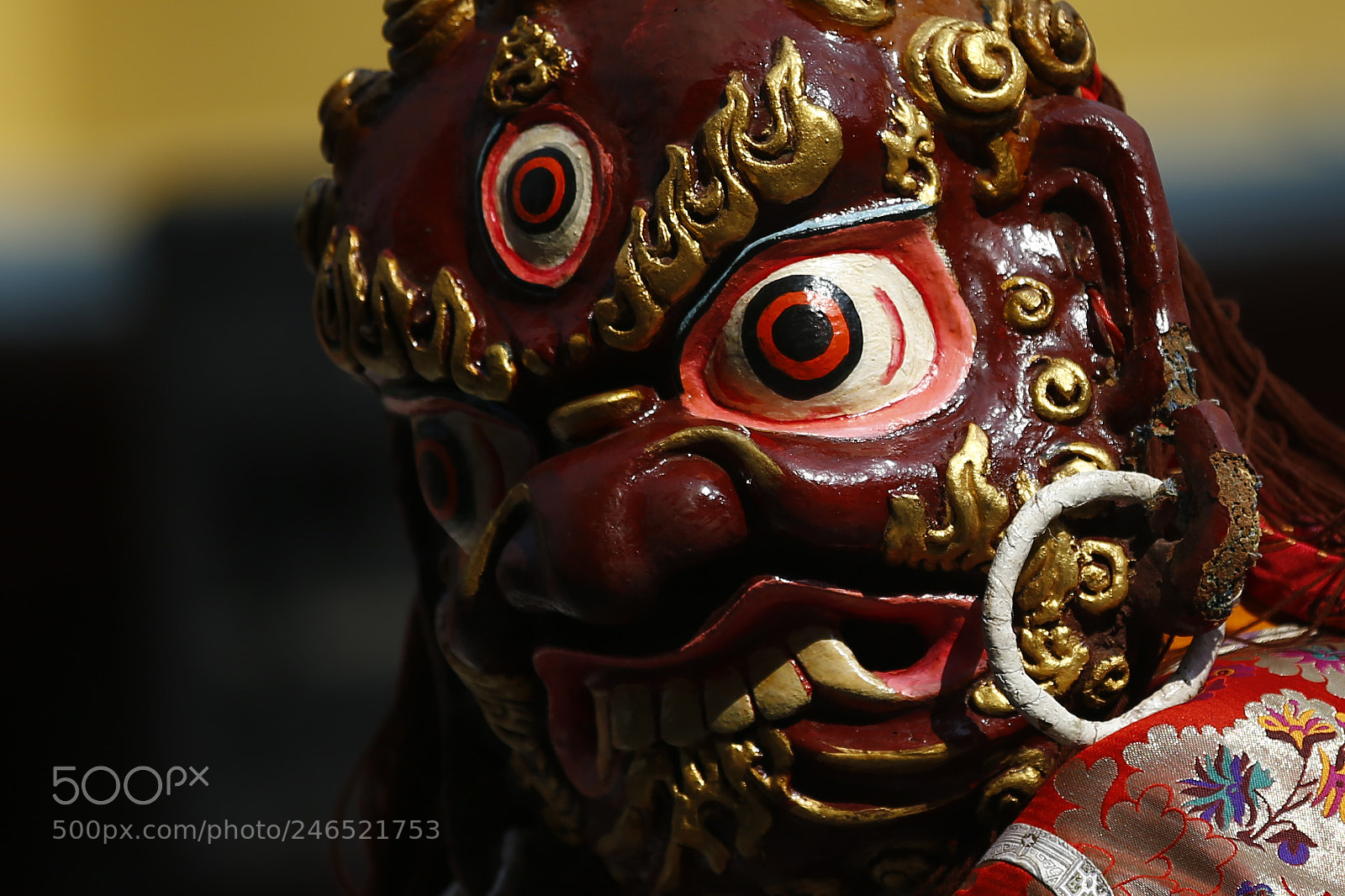 Canon EOS-1D X sample photo. Lunar new year in photography