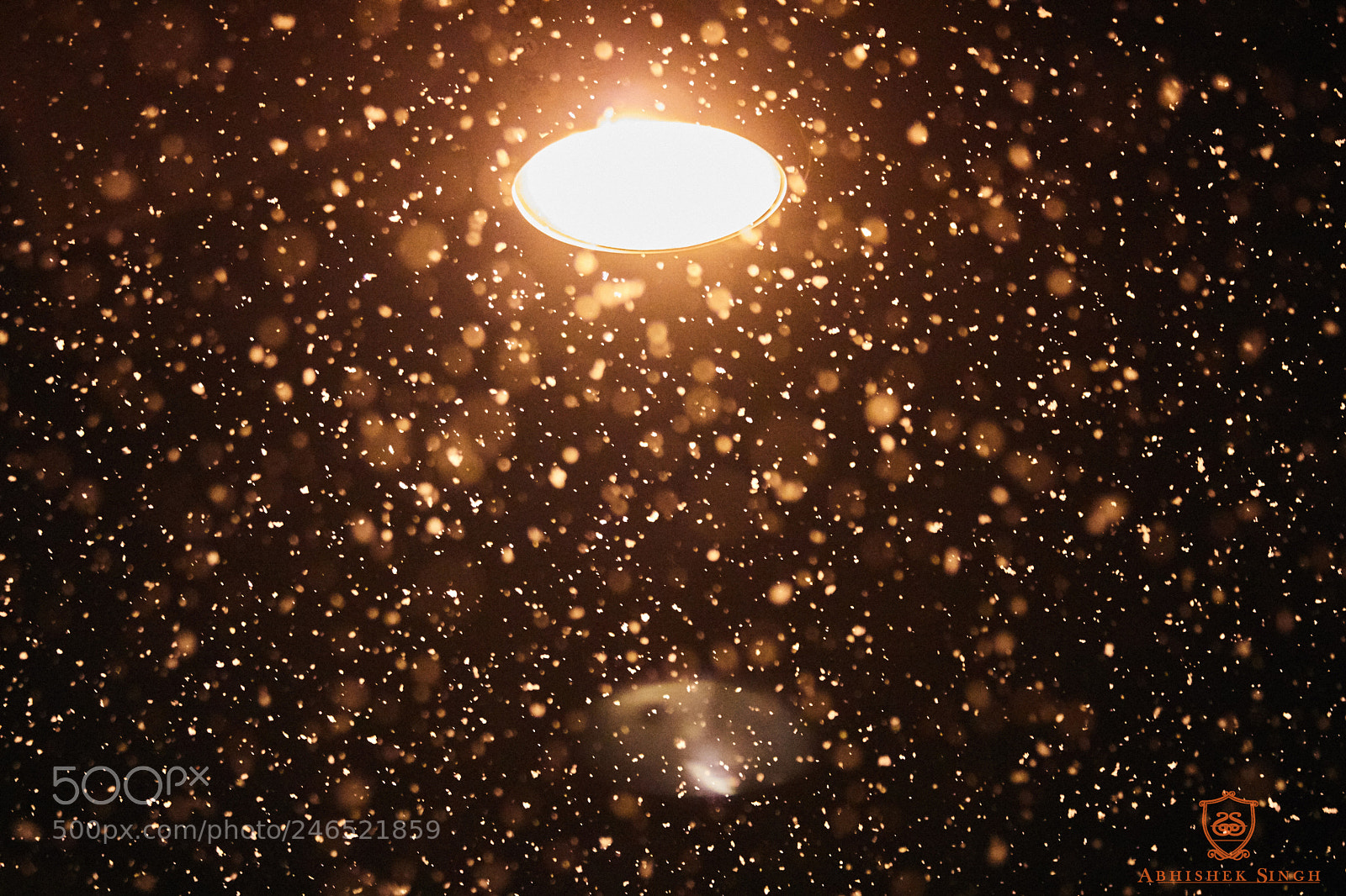 Canon EOS 750D (EOS Rebel T6i / EOS Kiss X8i) sample photo. Snow flakes photography