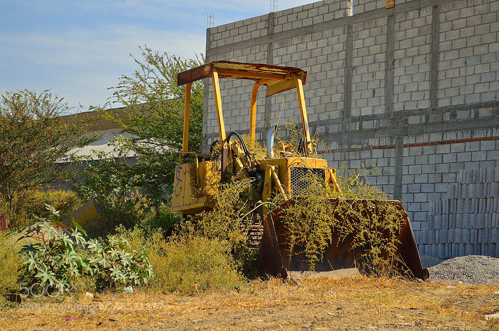 Nikon D3200 sample photo. Untitled photography