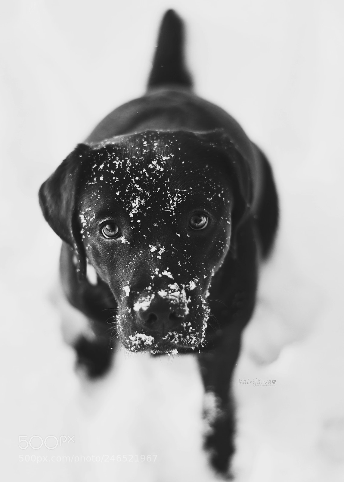 Nikon D7200 sample photo. Something on her face... photography