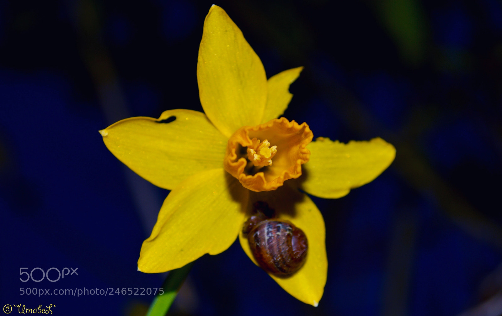 Nikon D3200 sample photo. Untitled photography
