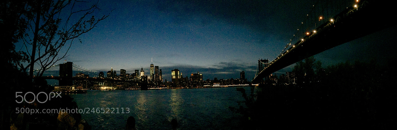 Apple iPhone 6 Plus sample photo. Untitled photography