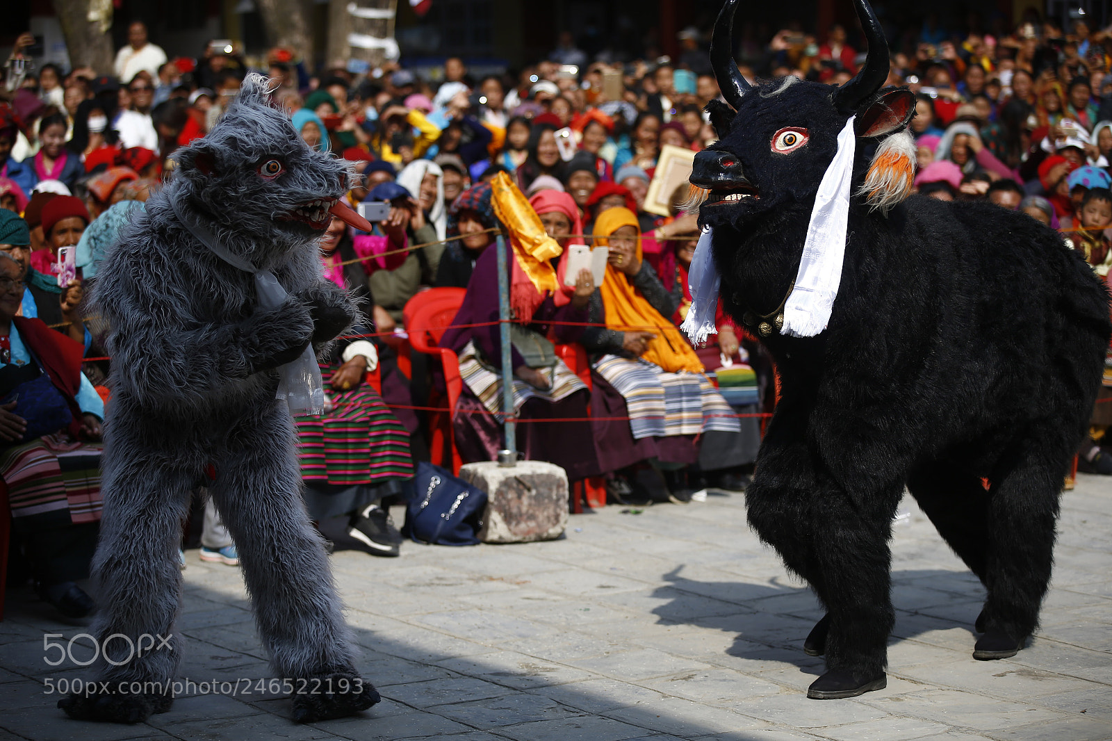 Canon EOS-1D X sample photo. Lunar new year in photography