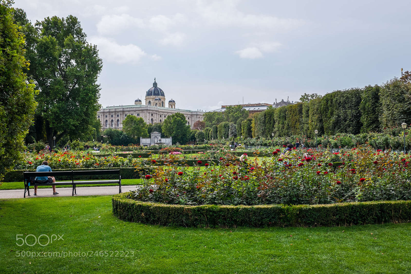 Fujifilm X100T sample photo. Flowers garden photography
