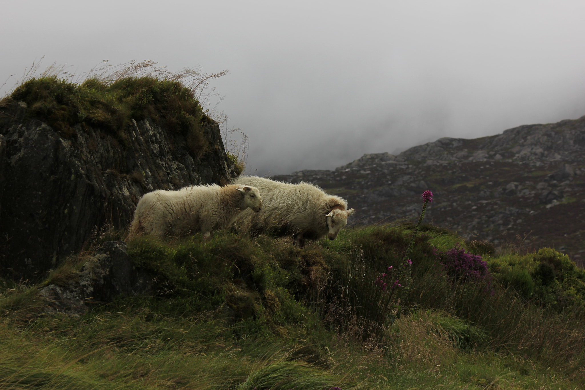 Canon EF-S 55-250mm F4-5.6 IS II sample photo. Snowdonia ,wales family holiday photography