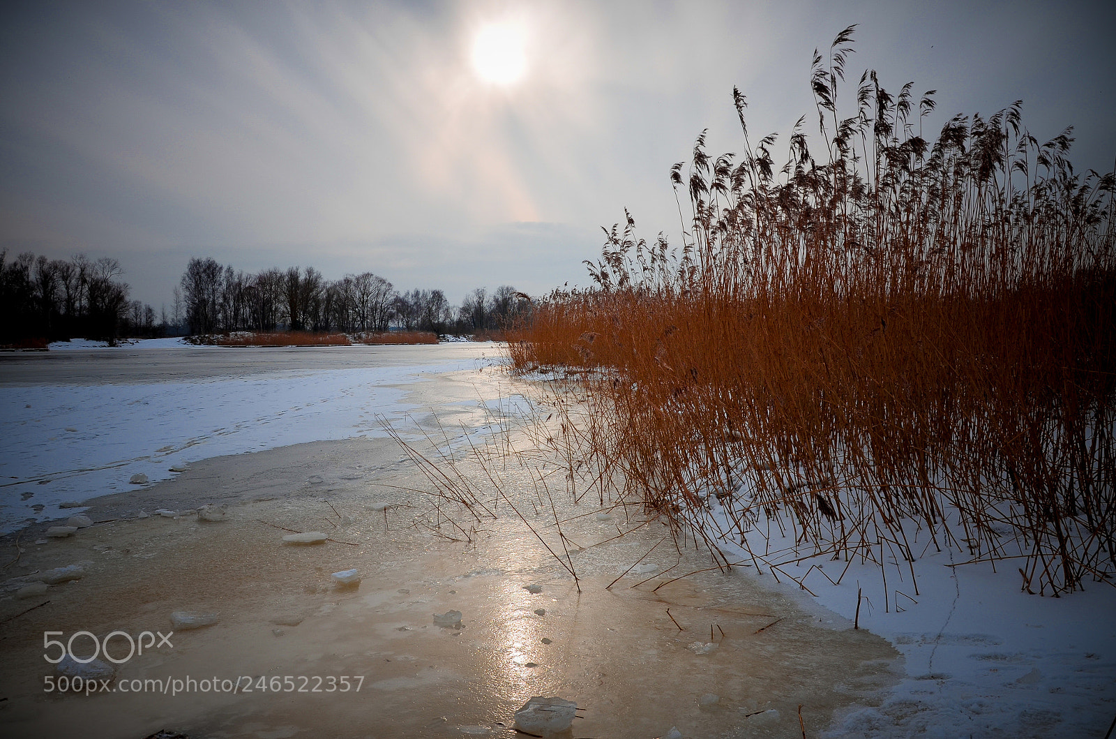 Nikon D5100 sample photo. Bullupe photography