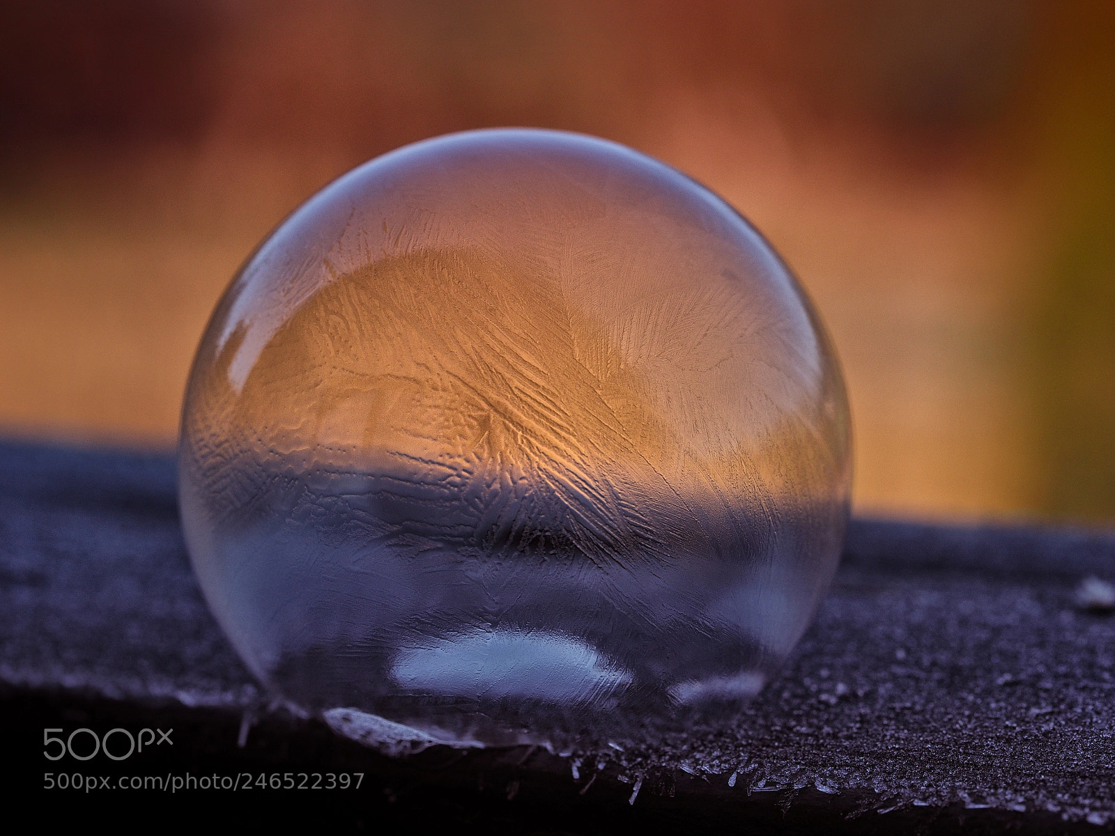 Olympus OM-D E-M1 sample photo. Bubble..... photography