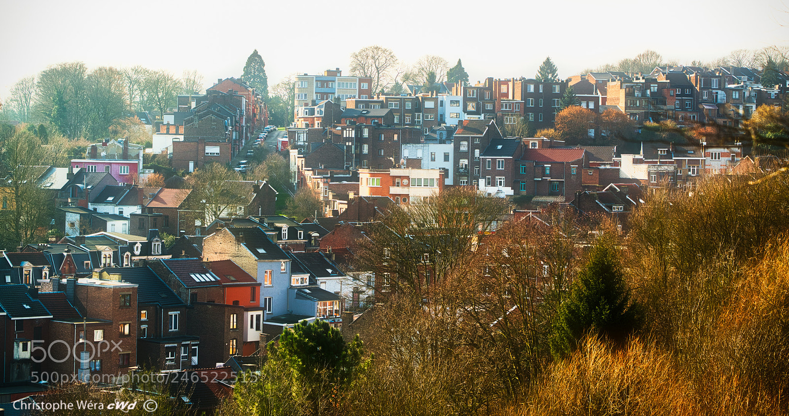 Nikon D800 sample photo. "liège" photography