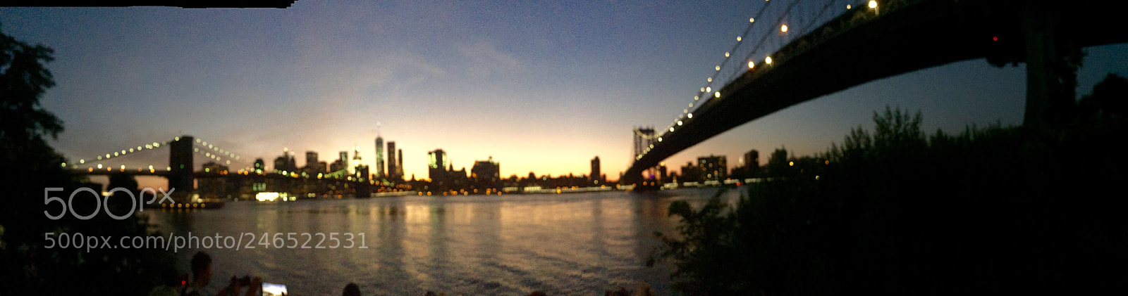 Apple iPhone 6 Plus sample photo. Untitled photography