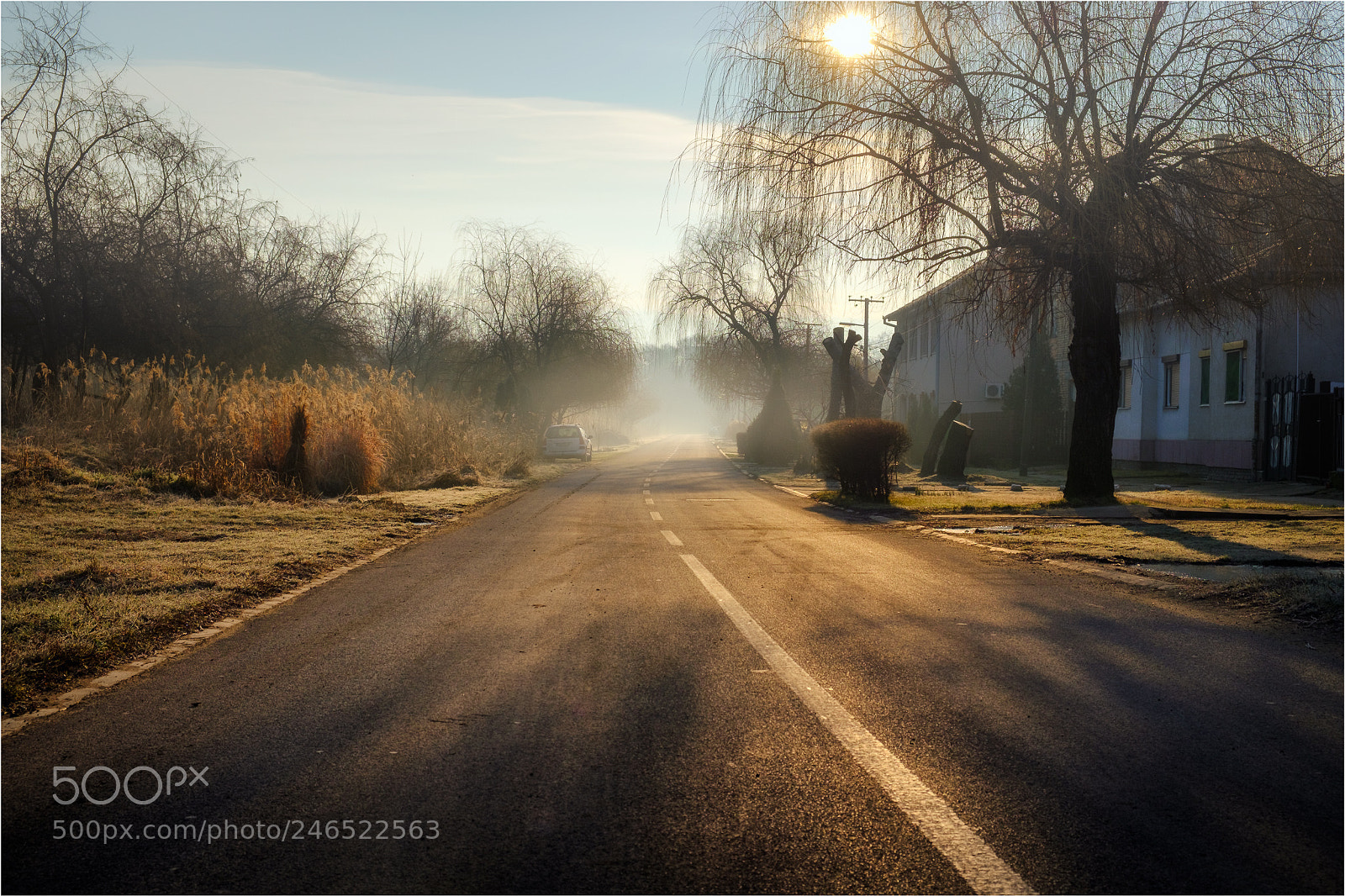 Fujifilm X-T20 sample photo. Morning photography