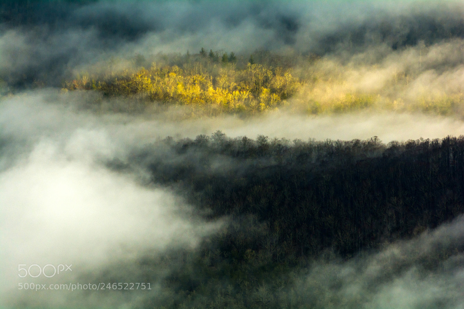 Nikon D7100 sample photo. Pisgah national forest photography