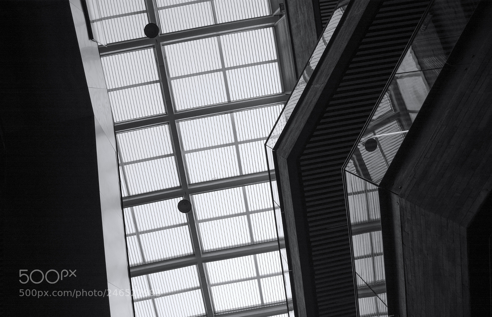 Nikon D7100 sample photo. Untitled photography