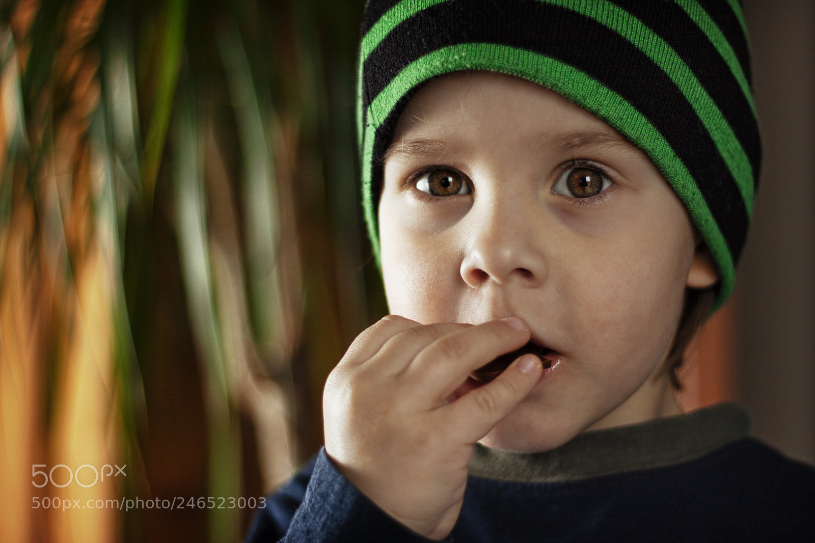 Canon EOS 50D sample photo. Watch it photography