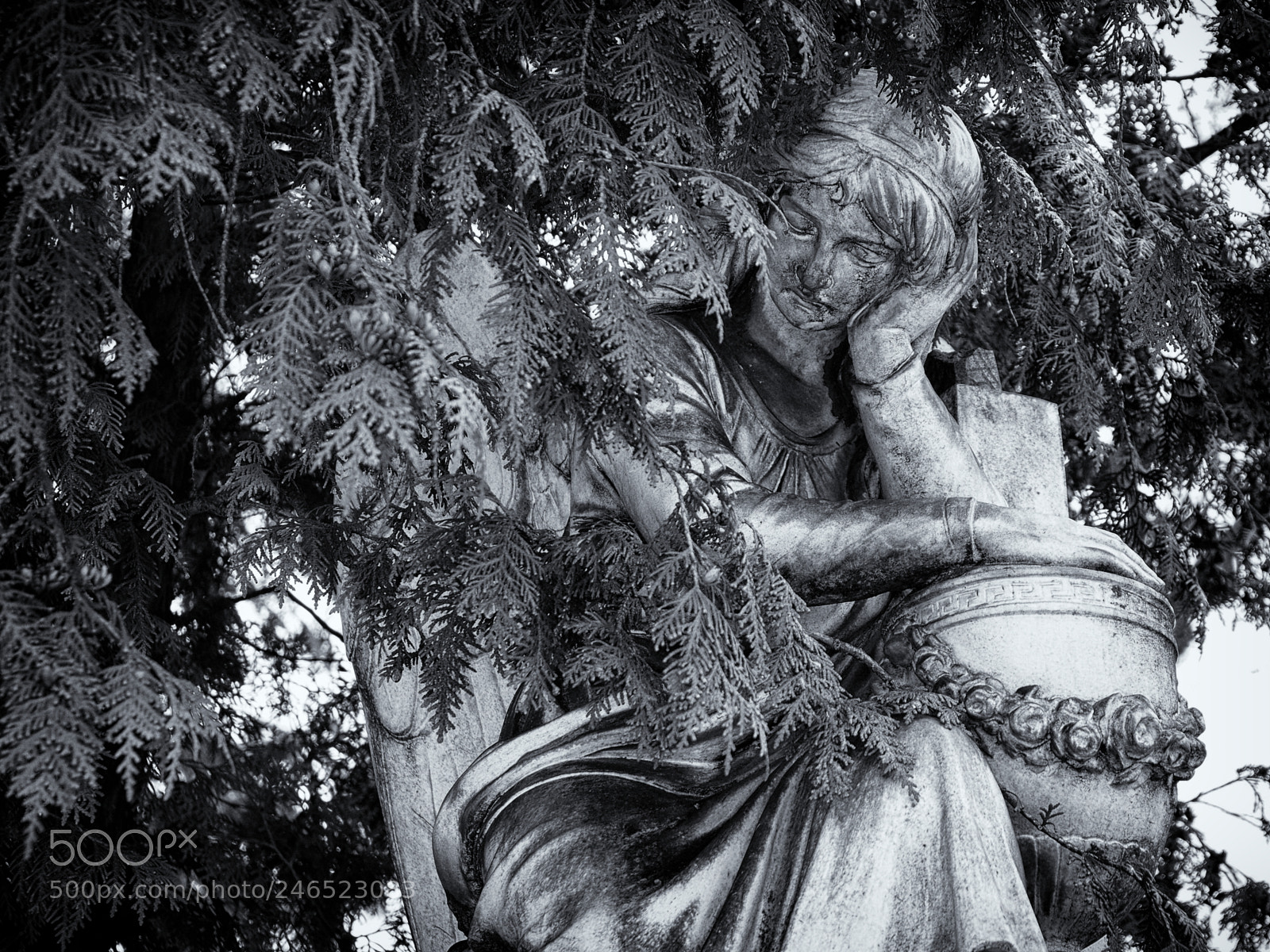 Olympus OM-D E-M10 II sample photo. ... photography