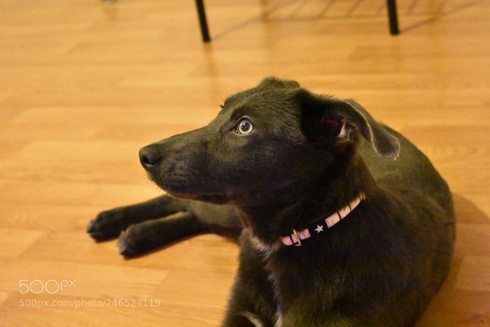 Nikon D3400 sample photo. ... photography