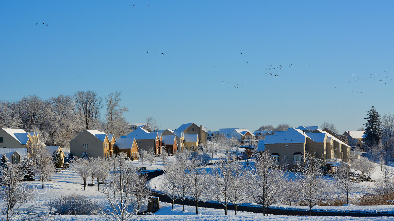 Nikon D7100 sample photo. Untitled photography