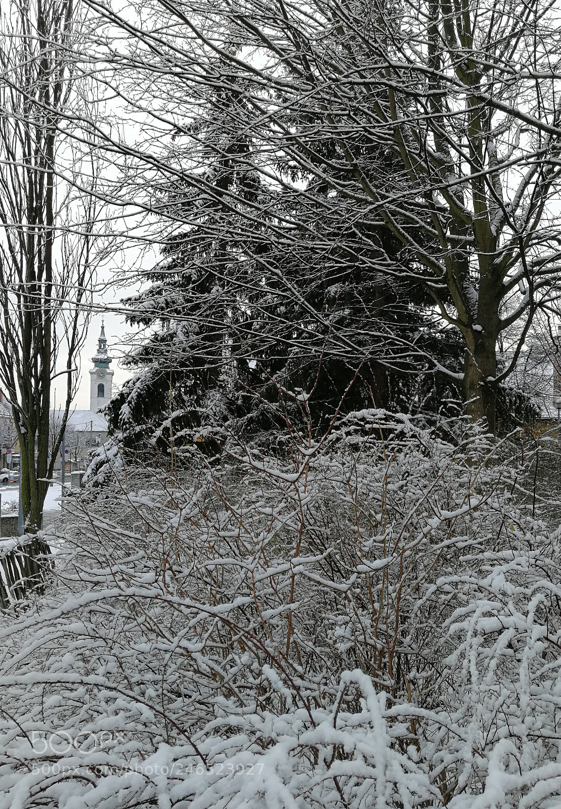 HUAWEI P10 Plus sample photo. Sonntag photography