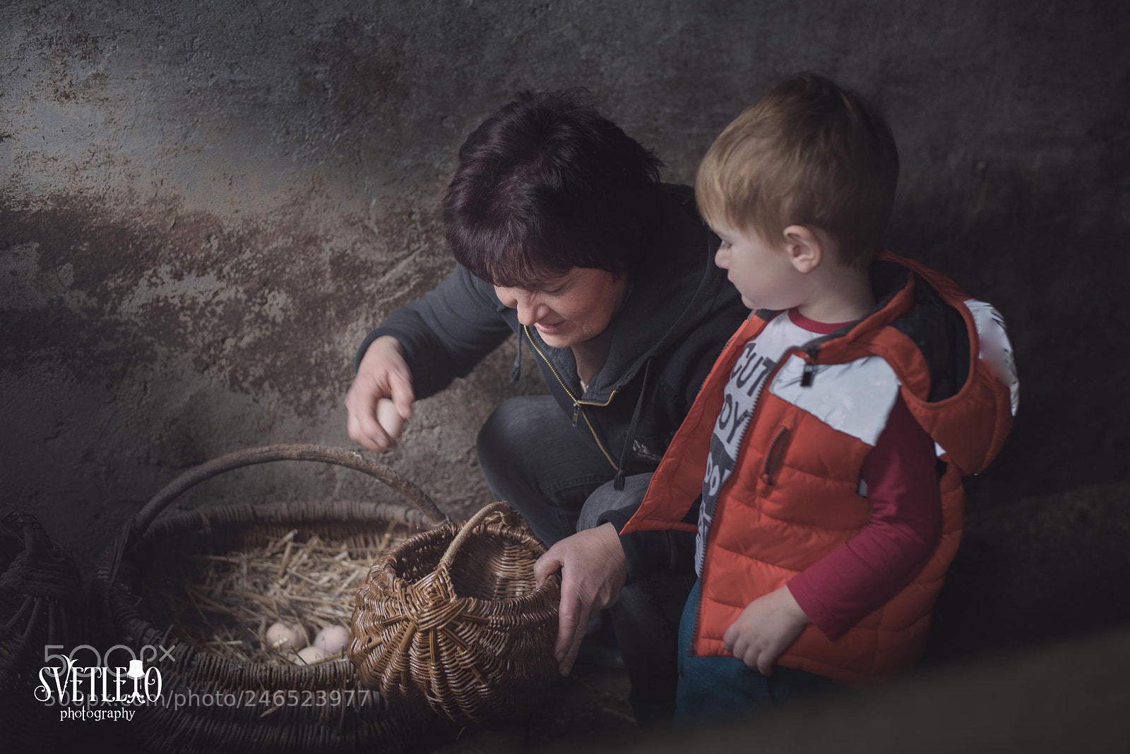 Nikon D810 sample photo. Eggs collection photography