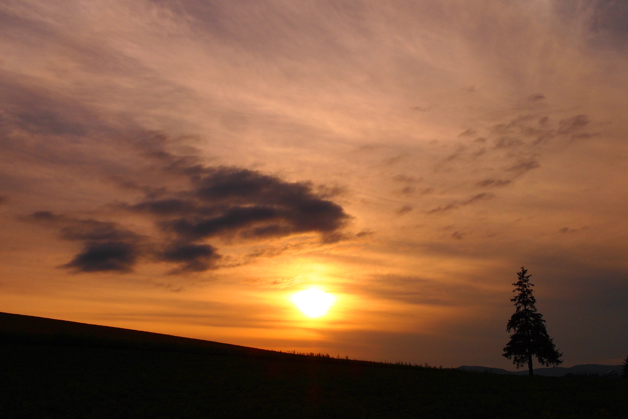 Olympus PEN E-PL2 sample photo. Hokkaido,japan photography