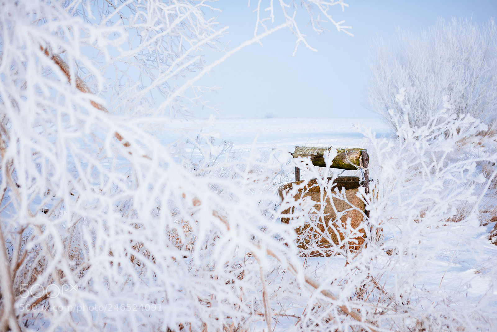 Nikon D800 sample photo. Roszkowo photography