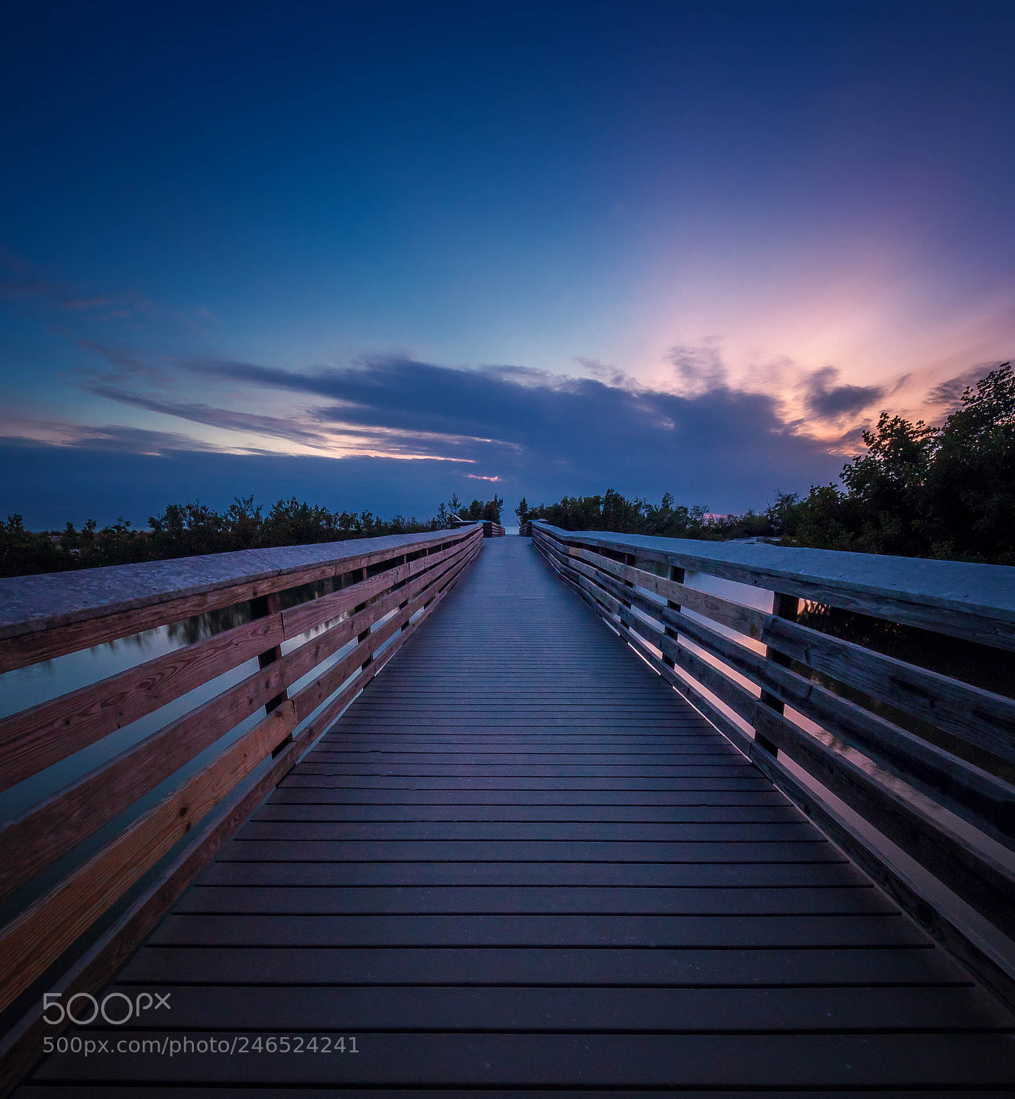 Olympus OM-D E-M5 II sample photo. Walk to the light photography