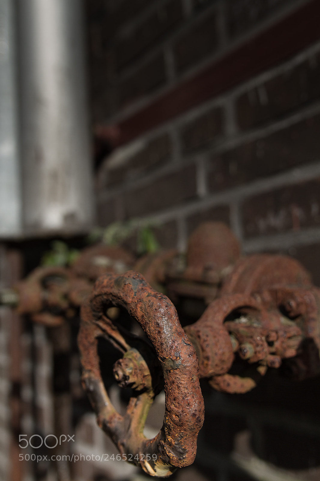Canon EOS 7D sample photo. As years go by photography