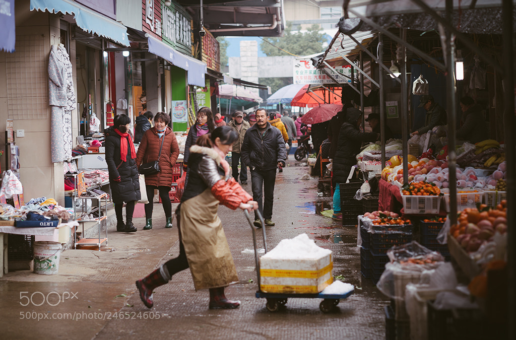 Sony a7R II sample photo. Gaoqiao vegetable farm photography