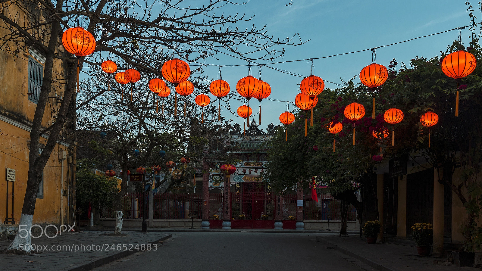 Canon EOS 5D Mark IV sample photo. Lunar new year in photography