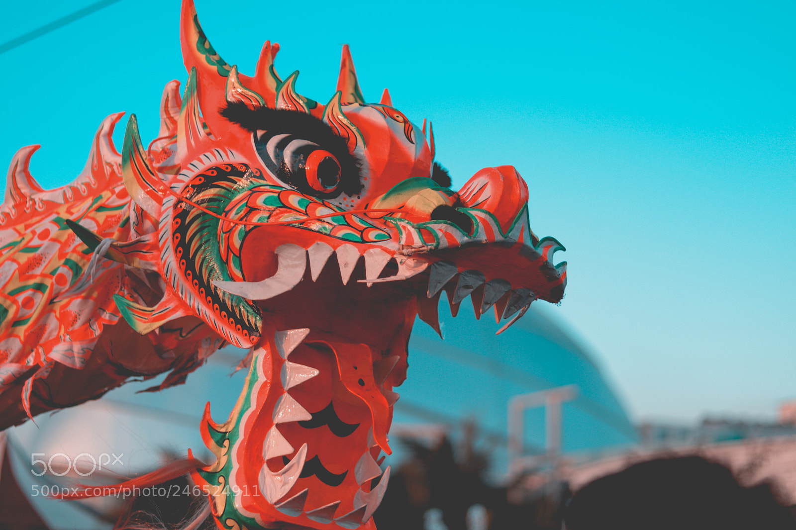 Canon EOS 800D (EOS Rebel T7i / EOS Kiss X9i) sample photo. Chinese dragon photography