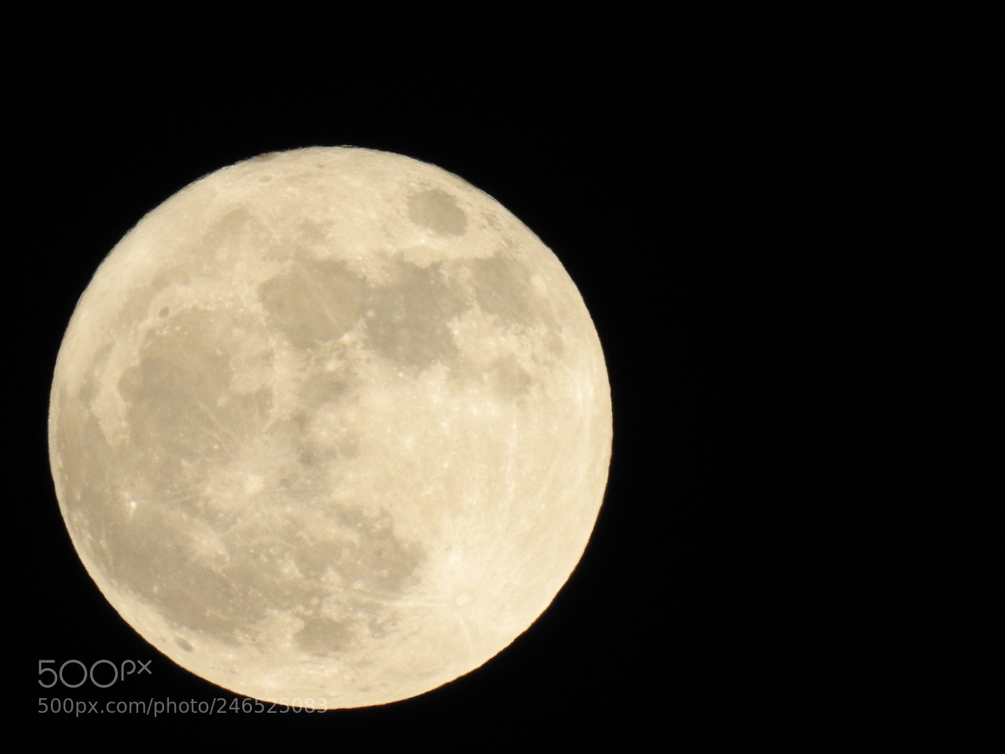 Nikon Coolpix P900 sample photo. Full moon photography
