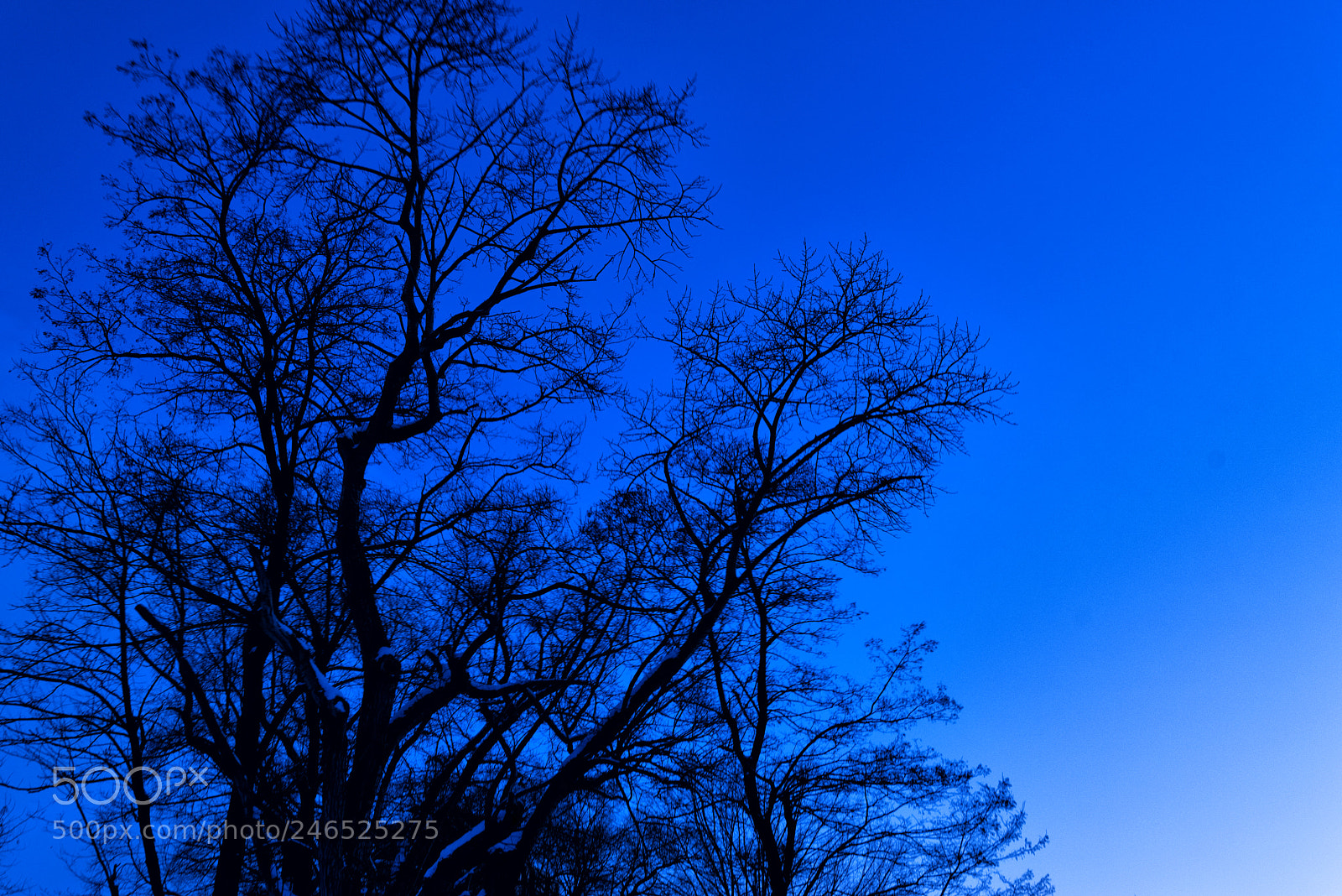 Pentax K-1 sample photo. Toward the night photography