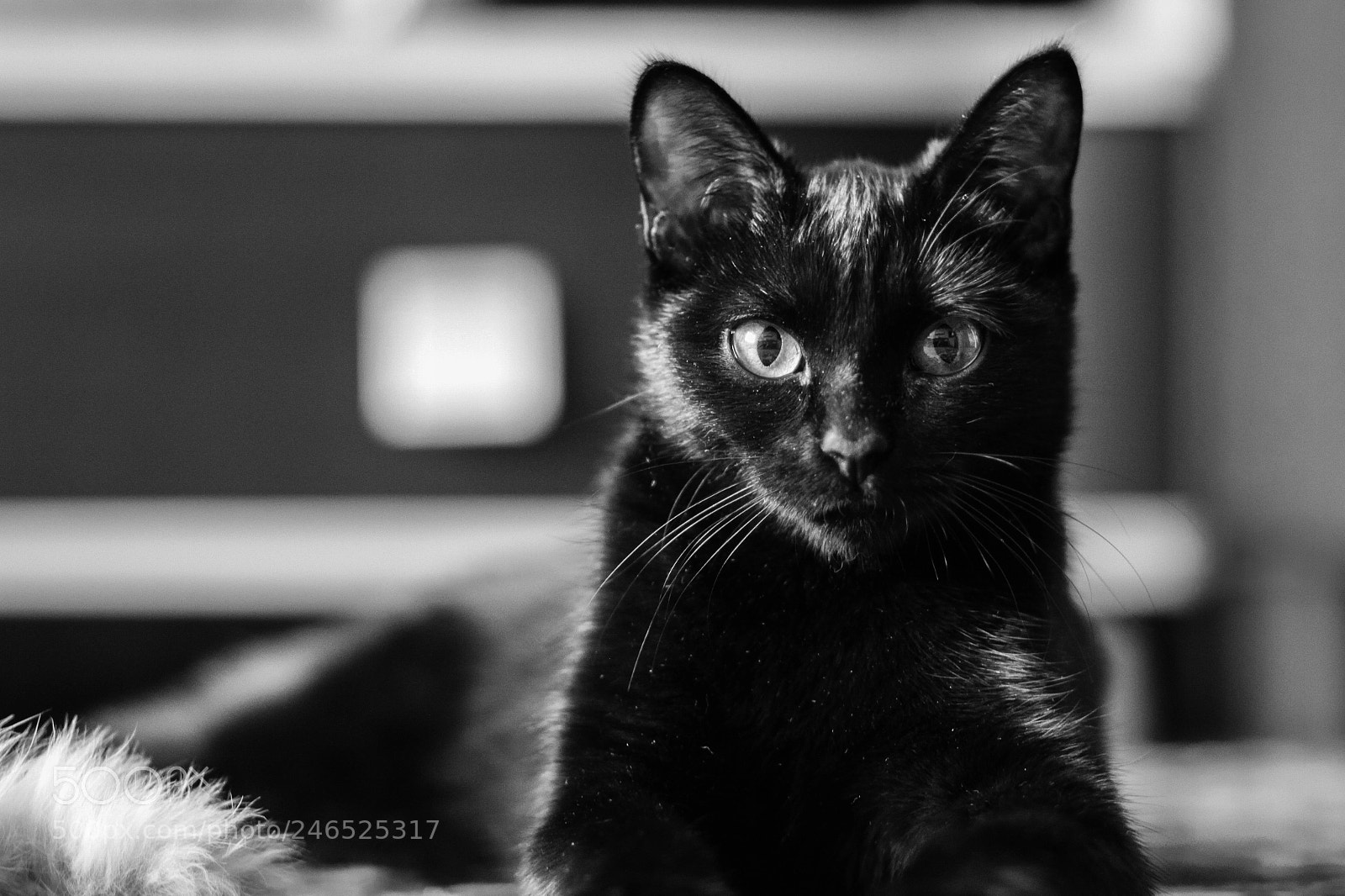 Canon EOS 7D sample photo. Close look photography