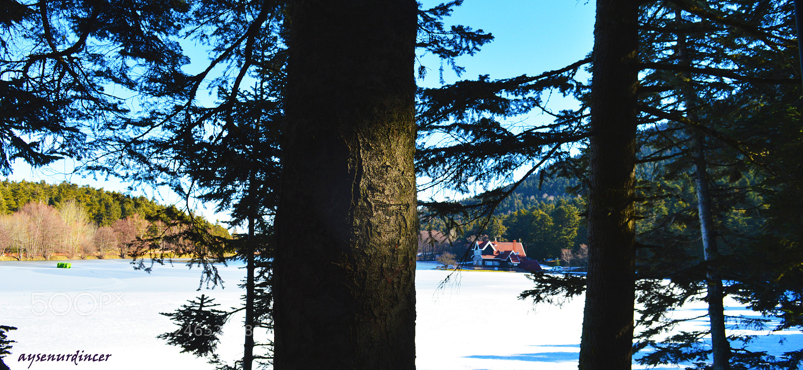 Nikon D3200 sample photo. Gölcük photography