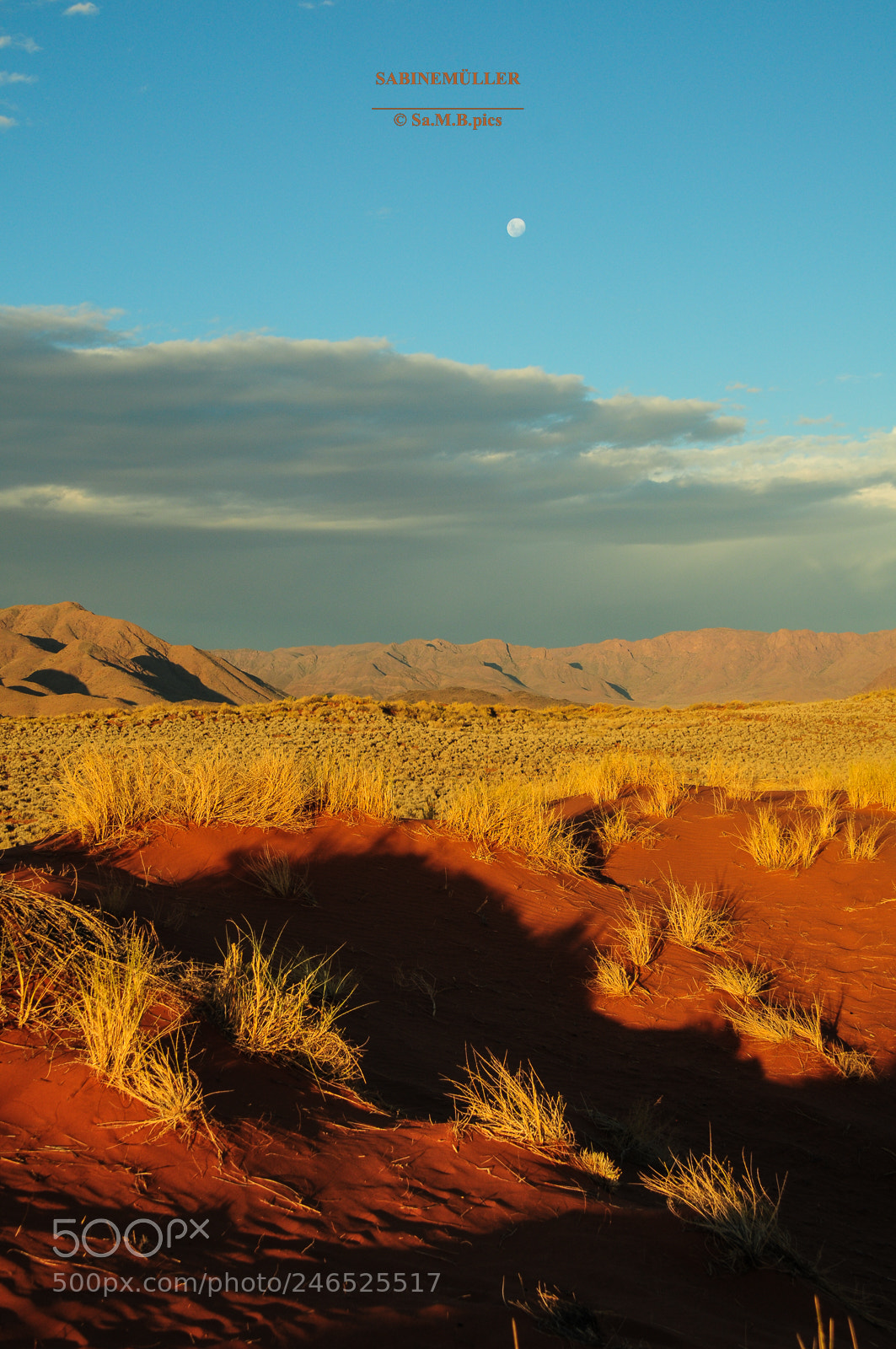 Nikon D300 sample photo. Sunset desert, namibia photography