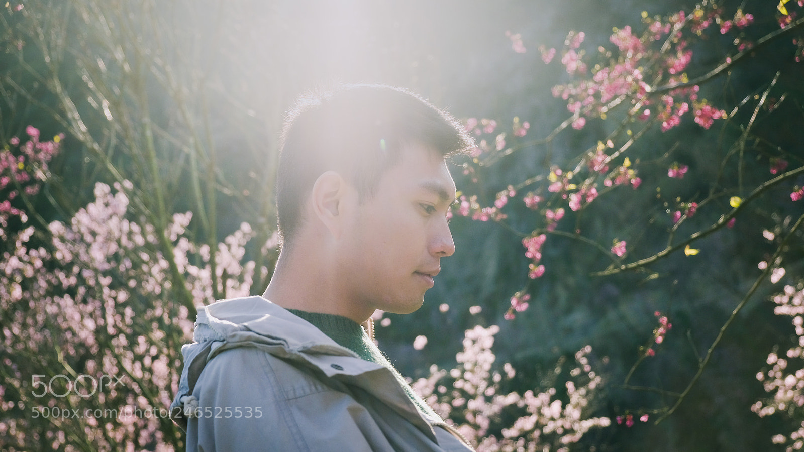 Fujifilm X-T20 sample photo. Sakura photography