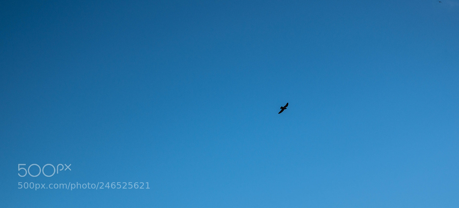 Sony Cyber-shot DSC-RX100 II sample photo. Kiss the sky photography