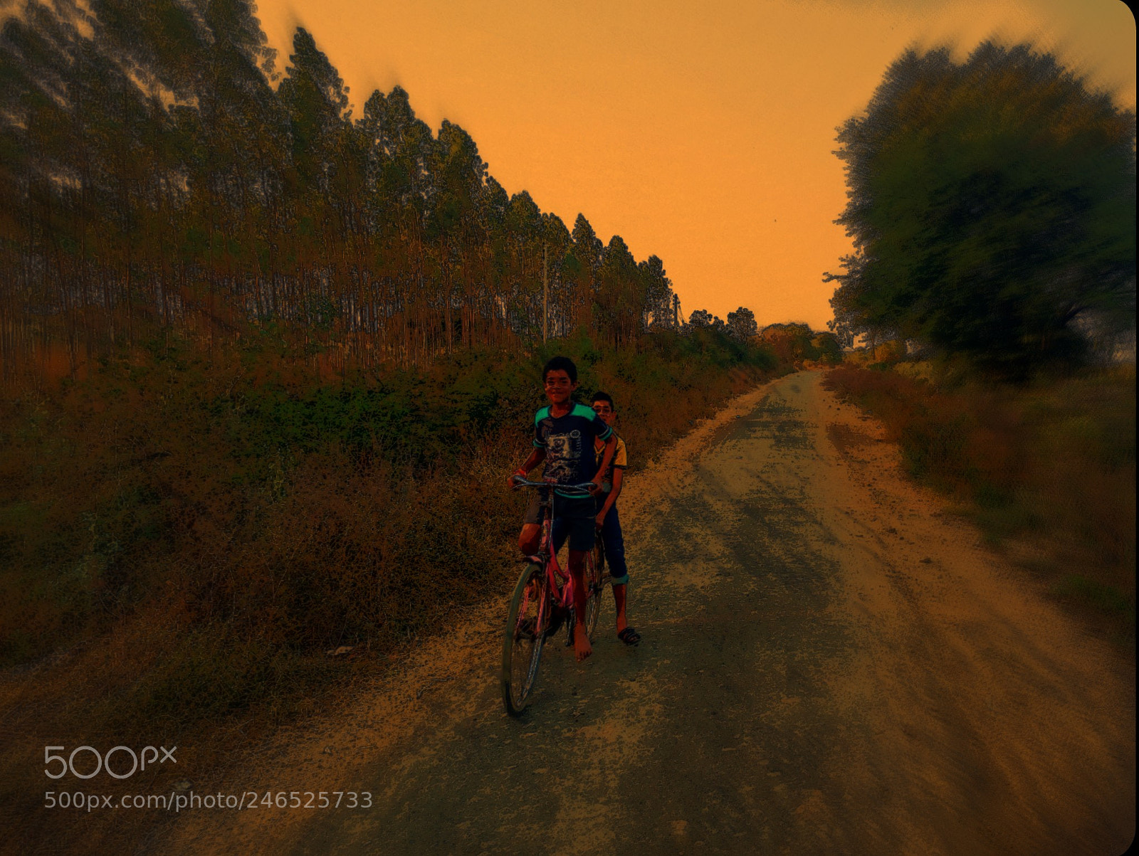 Motorola Moto X Play sample photo. Boys on cycle... photography