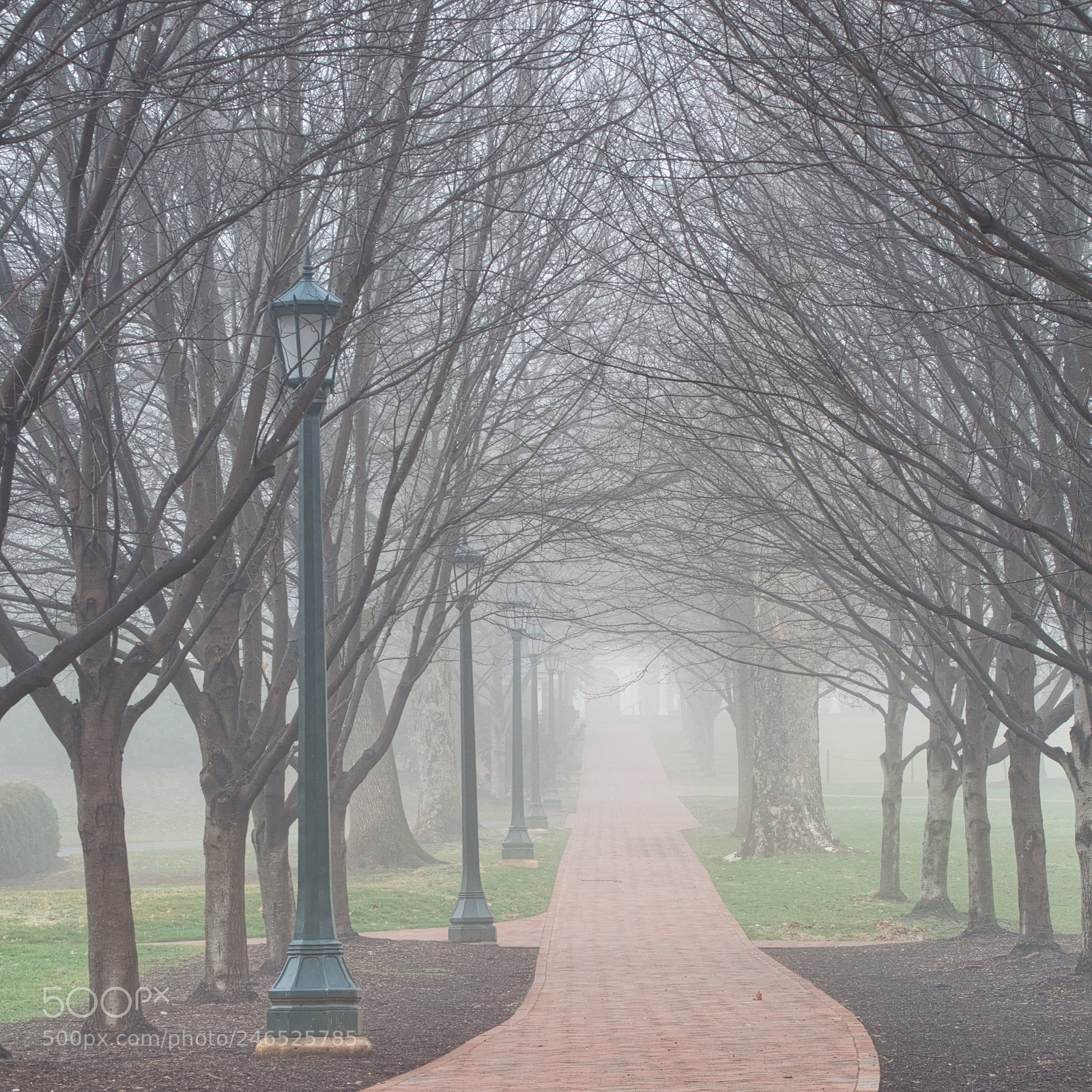Olympus OM-D E-M10 sample photo. Into the fog photography