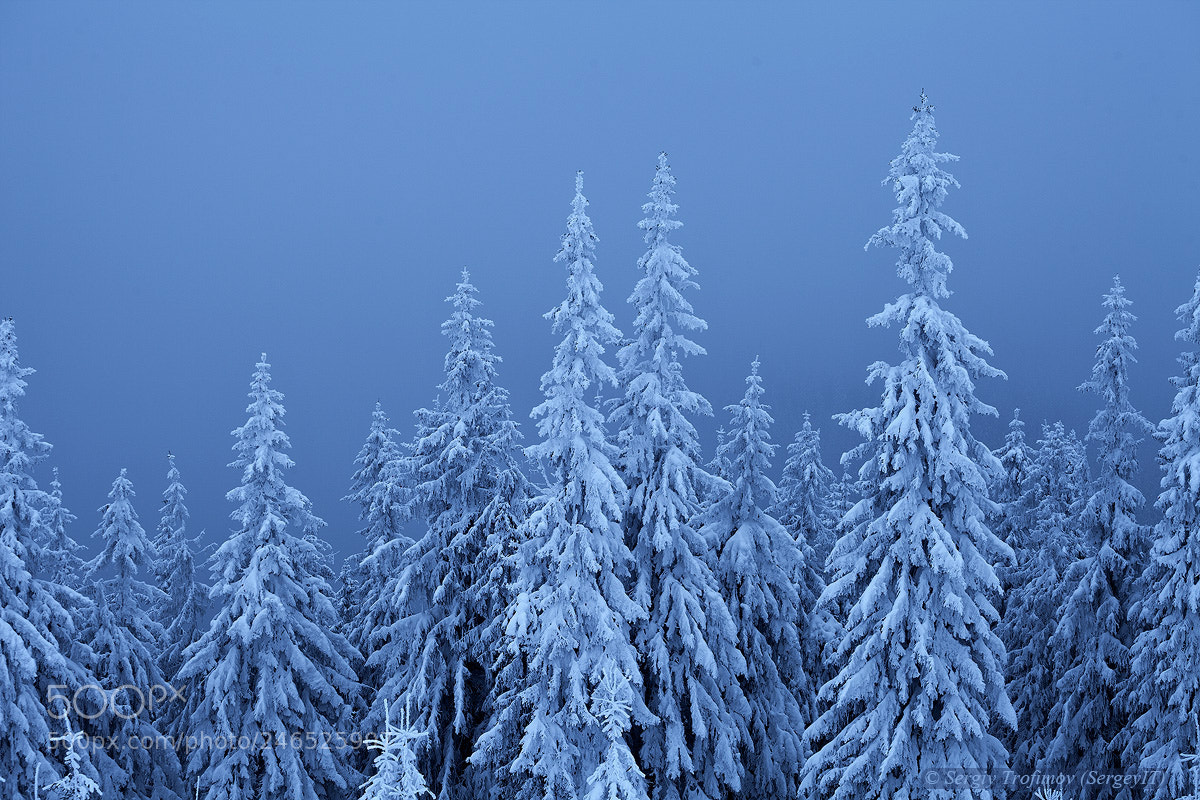 Canon EOS 5D Mark II sample photo. Winter landscape photography